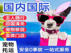 安阳红旗渠空运公司国际宠物托运 【国